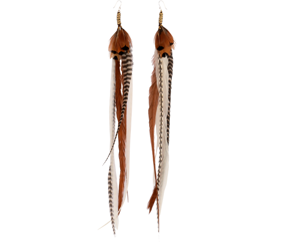 Long Feather Earrings